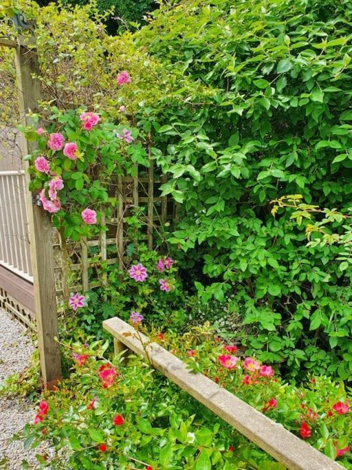 Bijou Coastal Apartment In Polperro With Hot Tub Onsite Parking Downhill Walk To Village المظهر الخارجي الصورة